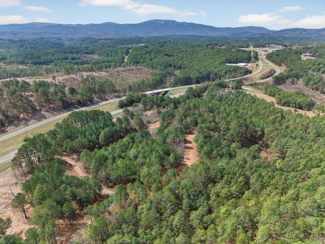 5333 U.S. 64, Lot 5, Copperhill, TN 37317