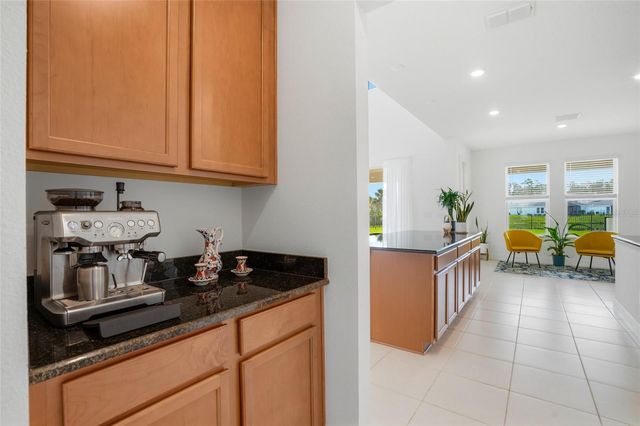 34068 CASTAWAY LOOP, Wesley Chapel, FL 33543