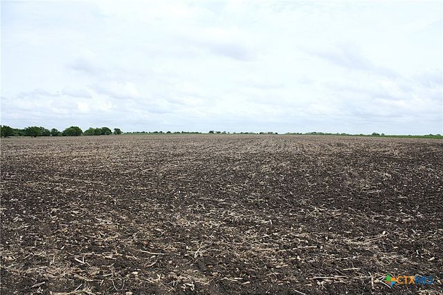 19374 Pennington Branch Road, Holland, TX 76534