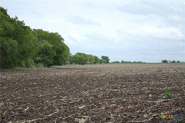 19374 Pennington Branch Road, Holland, TX 76534