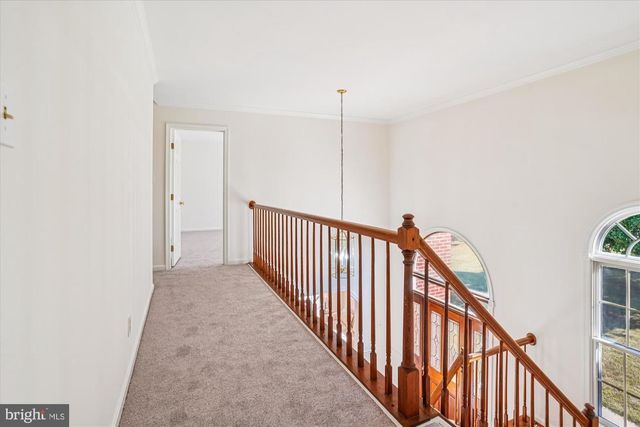 7951-D OLIVERS SHOP RD, La Plata, MD 20646