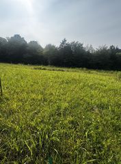 6481 Kelly Willis Rd, Greenbrier, TN 37073
