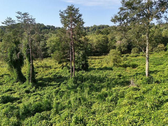 Lot 30 Arbor Creek Trail, Mineral Bluff, GA 30559