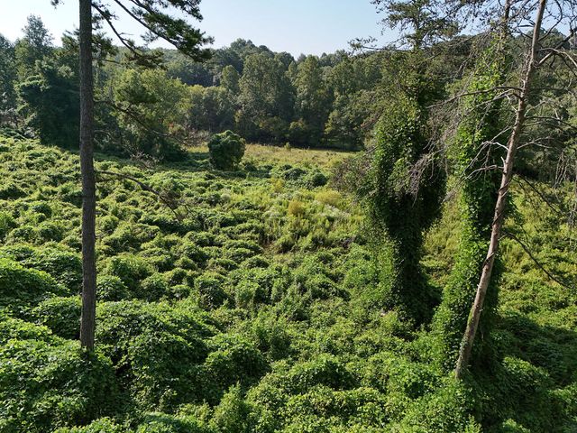 Lot 30 Arbor Creek Trail, Mineral Bluff, GA 30559