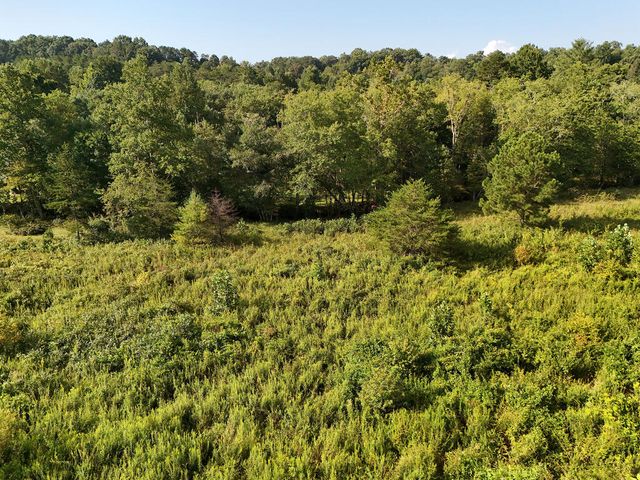 Lot 30 Arbor Creek Trail, Mineral Bluff, GA 30559