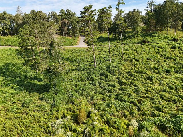 Lot 30 Arbor Creek Trail, Mineral Bluff, GA 30559