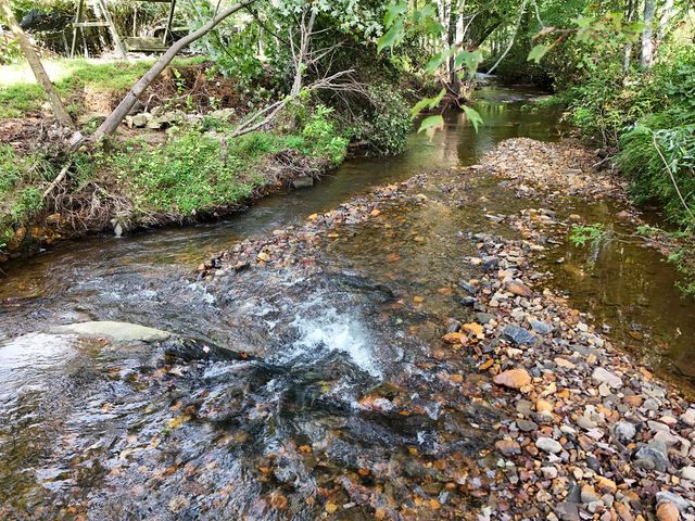 Lot 30 Arbor Creek Trail, Mineral Bluff, GA 30559