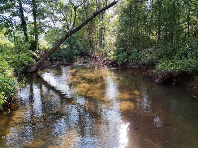 Lot 30 Arbor Creek Trail, Mineral Bluff, GA 30559