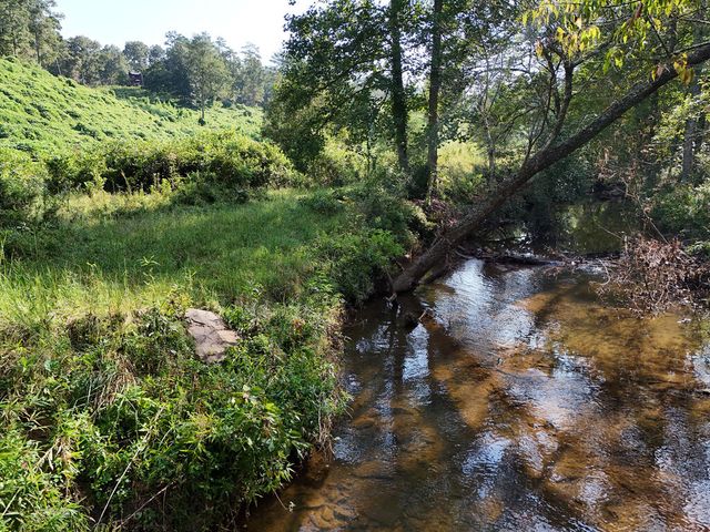 Lot 30 Arbor Creek Trail, Mineral Bluff, GA 30559