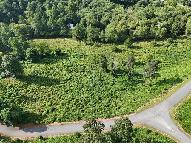 Lot 30 Arbor Creek Trail, Mineral Bluff, GA 30559