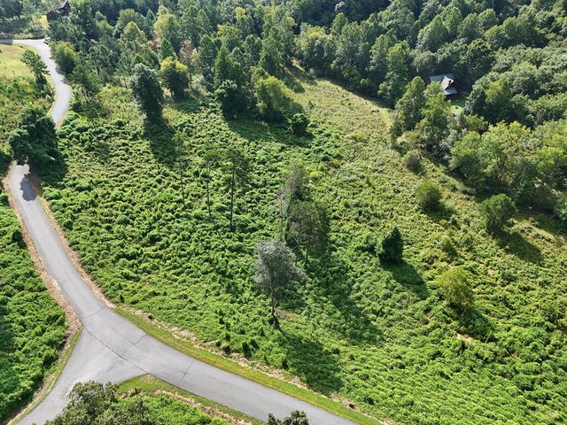 Lot 30 Arbor Creek Trail, Mineral Bluff, GA 30559
