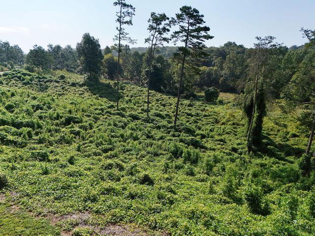 Lot 30 Arbor Creek Trail, Mineral Bluff, GA 30559