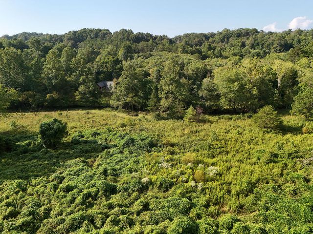 Lot 30 Arbor Creek Trail, Mineral Bluff, GA 30559