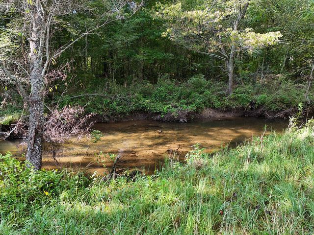 Lot 30 Arbor Creek Trail, Mineral Bluff, GA 30559