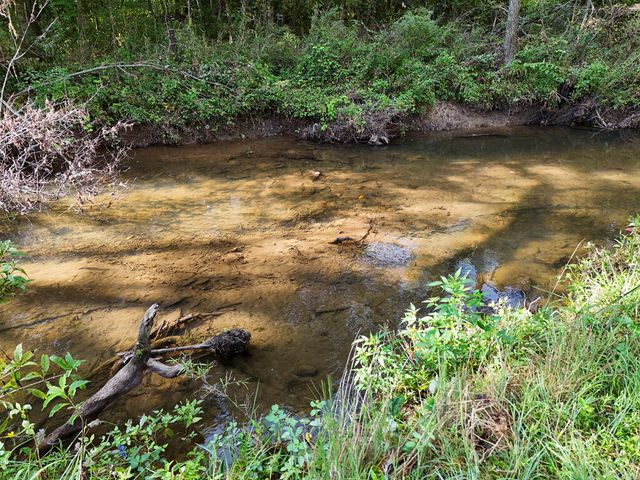 Lot 30 Arbor Creek Trail, Mineral Bluff, GA 30559
