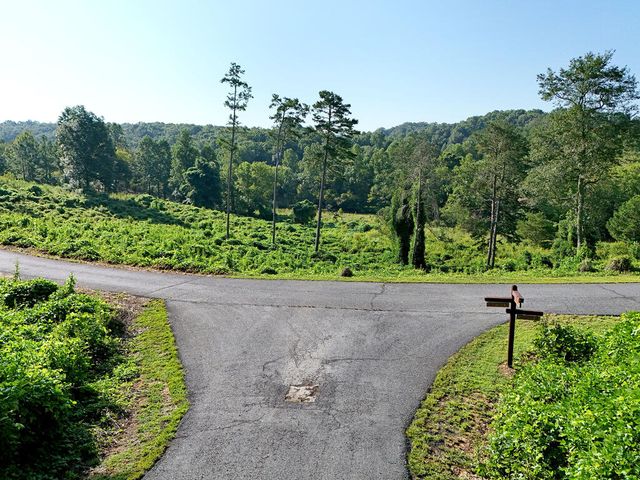 Lot 30 Arbor Creek Trail, Mineral Bluff, GA 30559