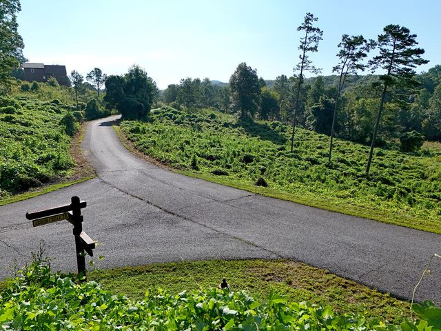 Lot 30 Arbor Creek Trail, Mineral Bluff, GA 30559