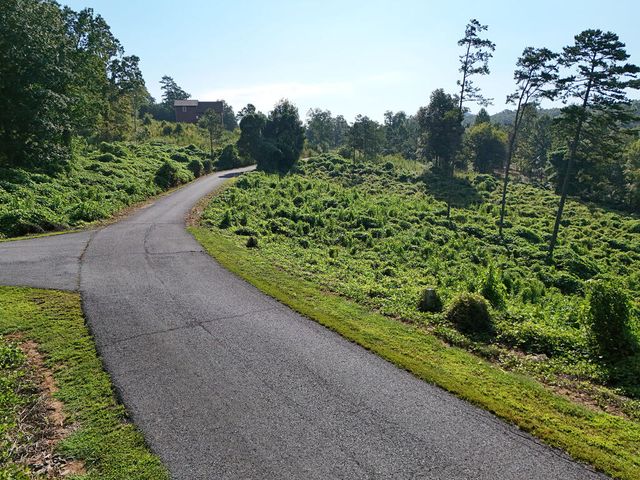Lot 30 Arbor Creek Trail, Mineral Bluff, GA 30559