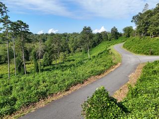 Lot 30 Arbor Creek Trail, Mineral Bluff, GA 30559