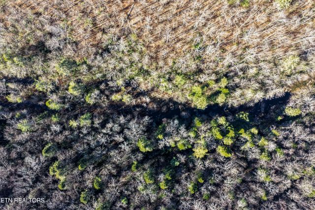 1305 Grievers Chapel Rd, Rockwood, TN 37854