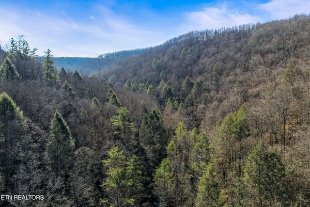 1305 Grievers Chapel Rd, Rockwood, TN 37854