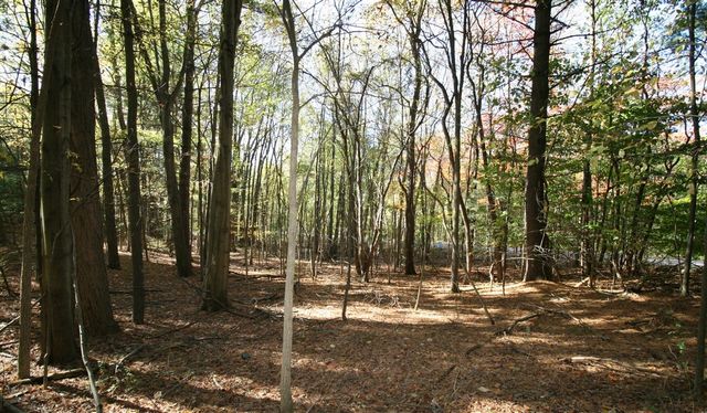 B.1 111th Avenue, South Haven, MI 49090