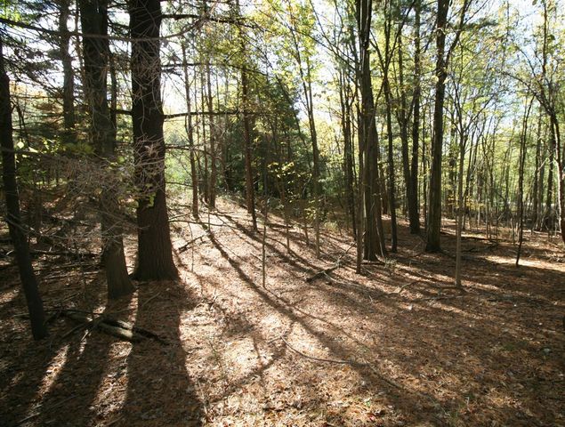 B.1 111th Avenue, South Haven, MI 49090