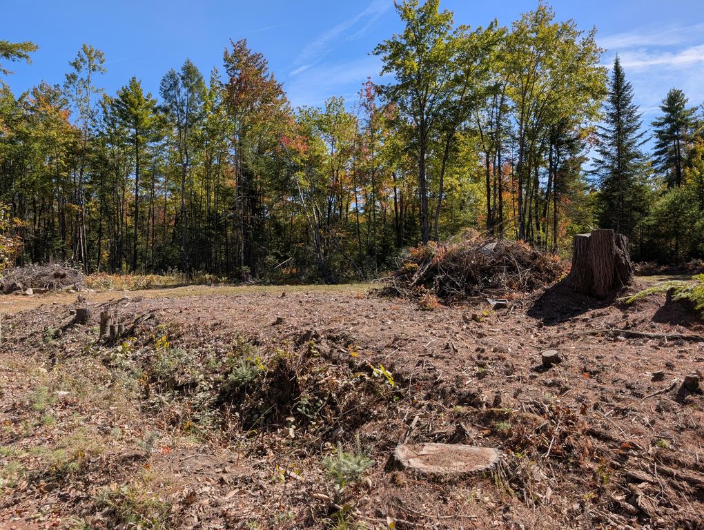 MR11 Lot40 Yeaton Swamp Road, Oxford, ME 04270 — photo 3