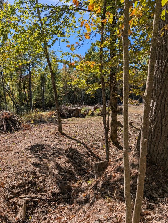 MR11 Lot40 Yeaton Swamp Road, Oxford, ME 04270 — photo 4