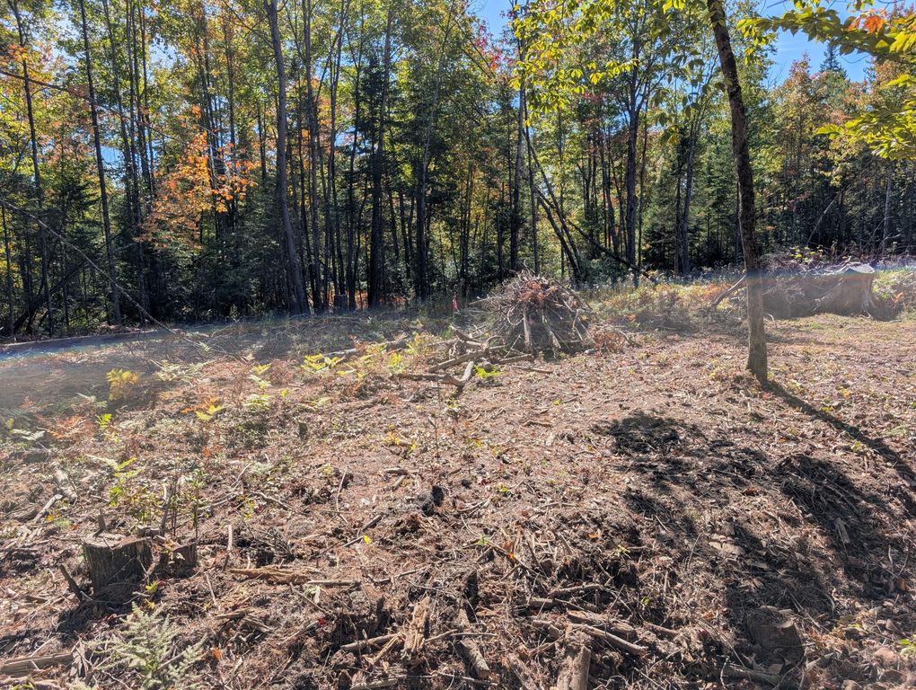 MR11 Lot40 Yeaton Swamp Road, Oxford, ME 04270 — photo 5