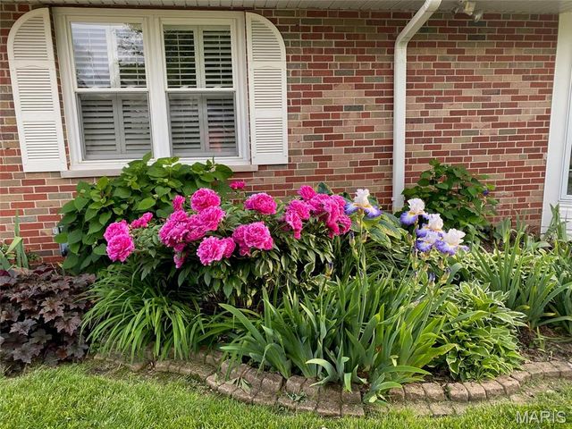 10748 Leebur Drive, St Louis, MO 63128