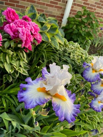 10748 Leebur Drive, St Louis, MO 63128