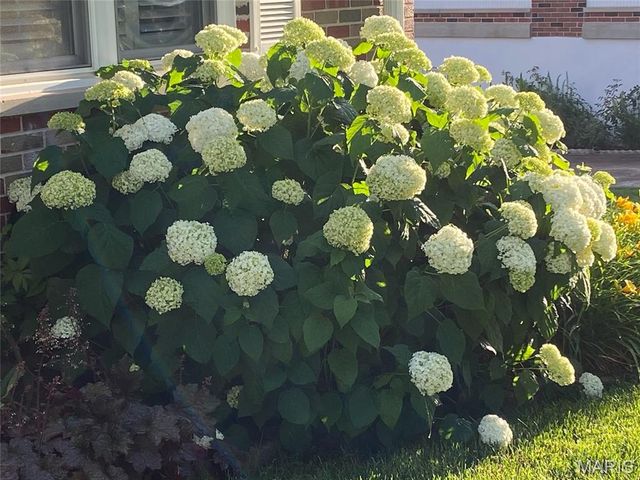 10748 Leebur Drive, St Louis, MO 63128