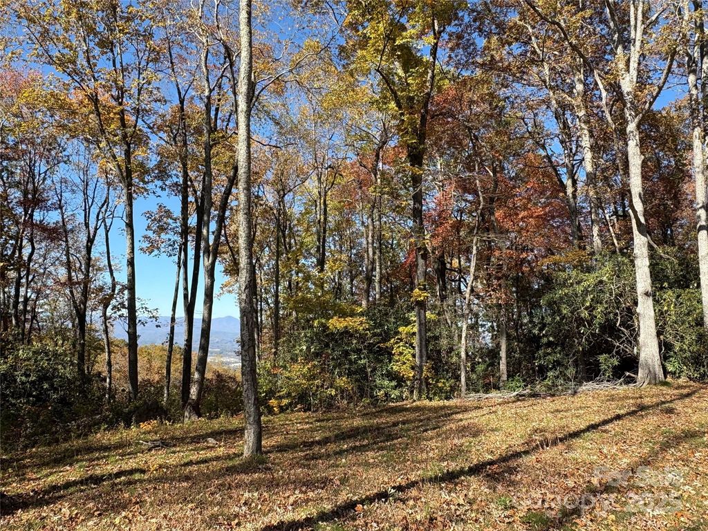 45 Trillium Garden Trail Lot 29, Fletcher, NC 28732