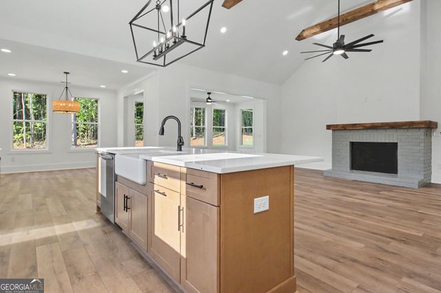 176 Ryeland Drive, Senoia, GA 30276