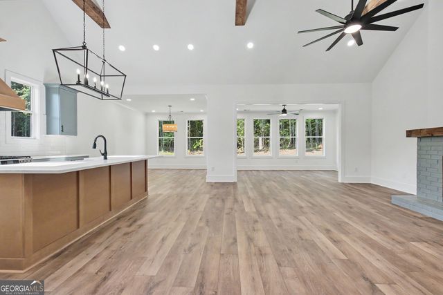 176 Ryeland Drive, Senoia, GA 30276
