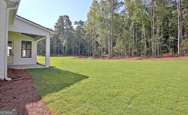 176 Ryeland Drive, Senoia, GA 30276