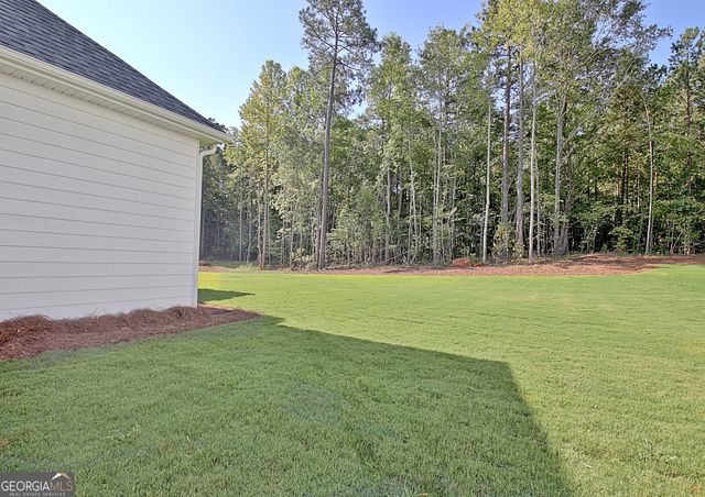 176 Ryeland Drive, Senoia, GA 30276