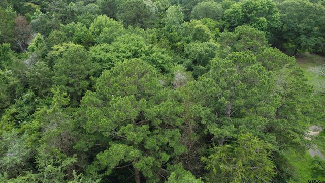 TBD County Road 1418, Quitman, TX 75783