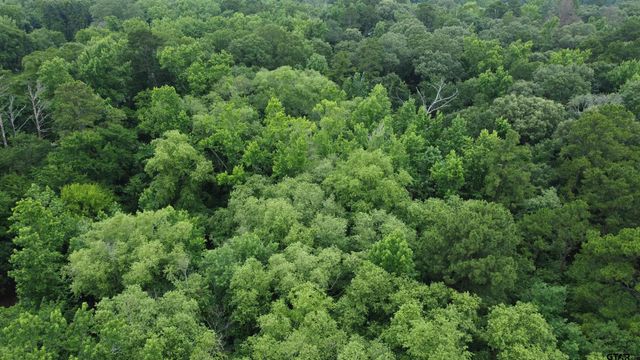 TBD County Road 1418, Quitman, TX 75783