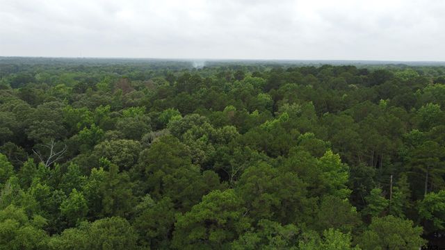 TBD County Road 1418, Quitman, TX 75783