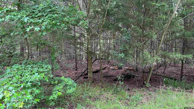 TBD County Road 1418, Quitman, TX 75783