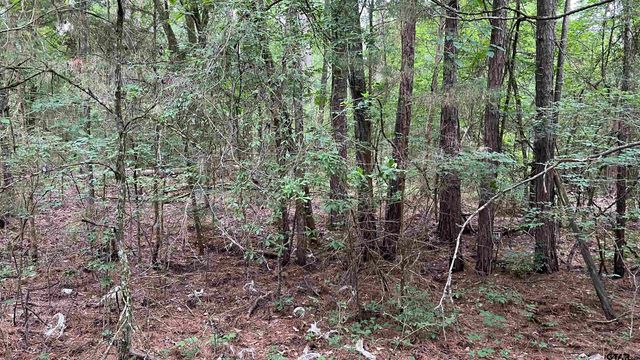 TBD County Road 1418, Quitman, TX 75783