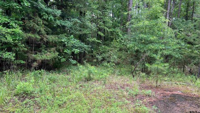 TBD County Road 1418, Quitman, TX 75783