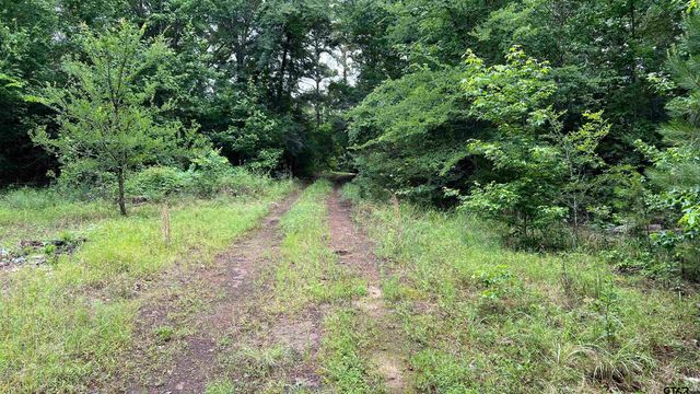 TBD County Road 1418, Quitman, TX 75783