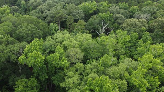 TBD County Road 1418, Quitman, TX 75783