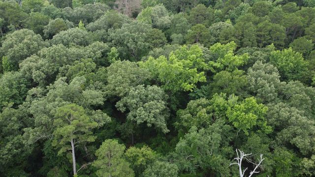 TBD County Road 1418, Quitman, TX 75783