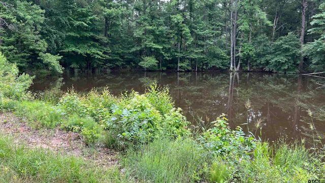 TBD County Road 1418, Quitman, TX 75783