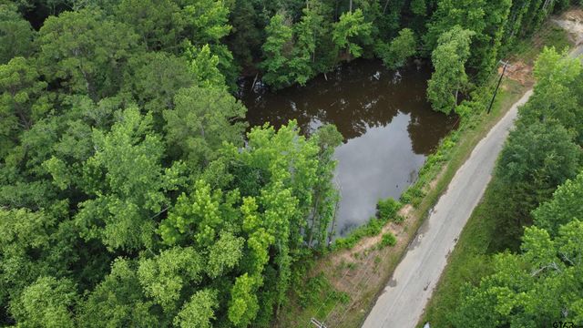 TBD County Road 1418, Quitman, TX 75783