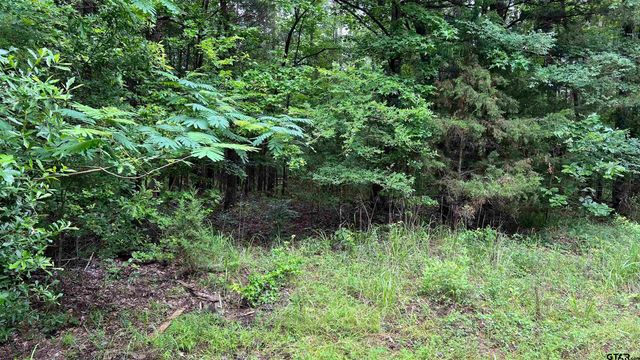 TBD County Road 1418, Quitman, TX 75783